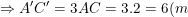 \small \Rightarrow A'C'=3AC=3.2=6(m)